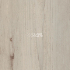 Кварцвиниловые полы Maximus Plank Norwegian Wood Arctic фото 1 | FLOORDEALER